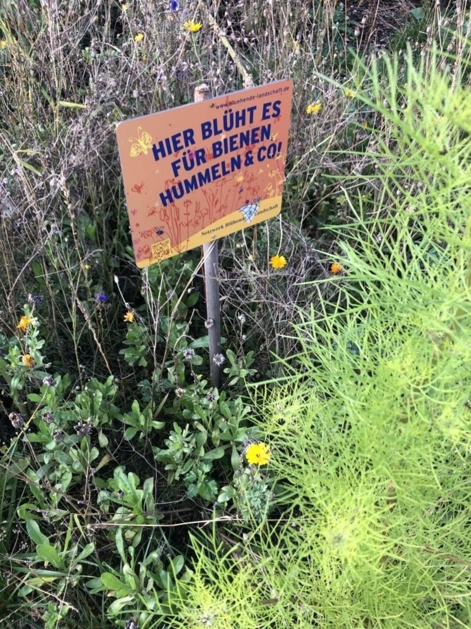 Meeresperle 4 Meerjungfrau Klutz Exterior foto
